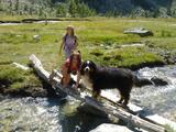 bovaro bernese Ibsen al pian del Valasco bovaro del bernese