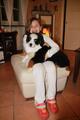 bernese Molly e Matilde