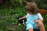 lia con morgana 21 giorni