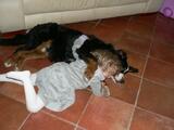 Teo bovaro con Agnese