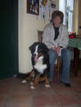 alida a casabovary